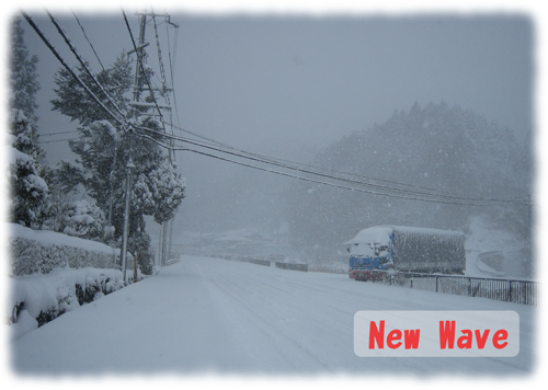 平成22年12月31日 大雪1