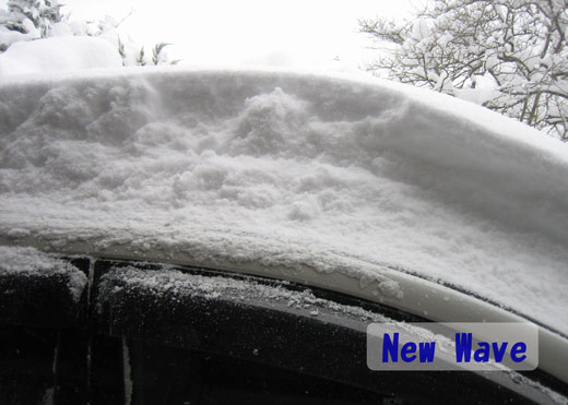 平成22年12月31日 大雪2