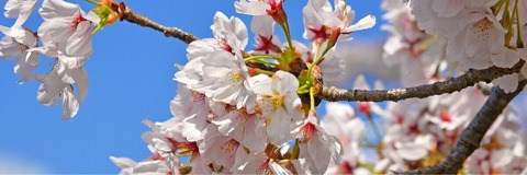 img_f06fa402b88432d7bde5b0e79824921a166519