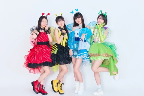 スクリーンショット_11-7-2026_115649_helloproject.com