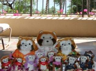 北海道ラスカル Satoshiの何でも写真館