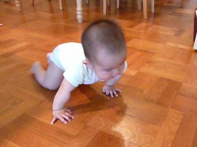 New Yorkの空の下 悠生の成長