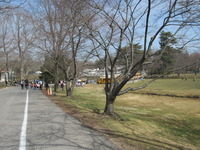 通学路?