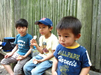 3 Boys
