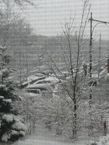 今日も雪