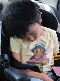 ZZZ…