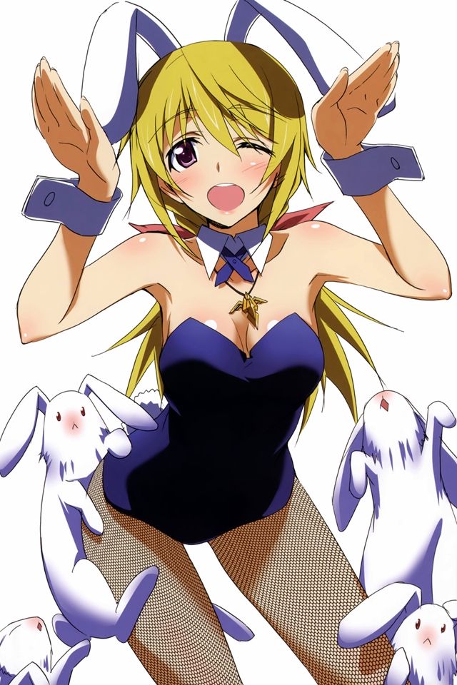 Isのシャルロット デュノアちゃんはなぜ嫌われるのか 2gamers Isのシャルロット デュノアちゃんはなぜ嫌われるのか 2gamers