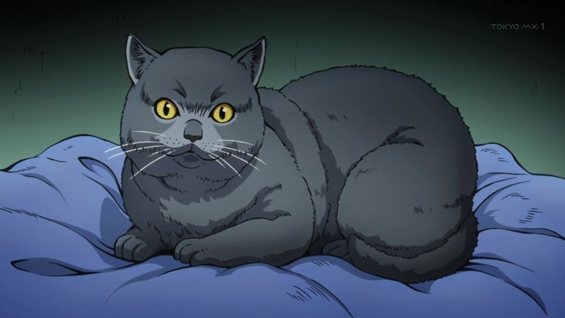 度近亭寄席 ジョジョの奇妙な冒険 ダイヤモンドは砕けない 第29話 ハイウェイ スター その2 感想