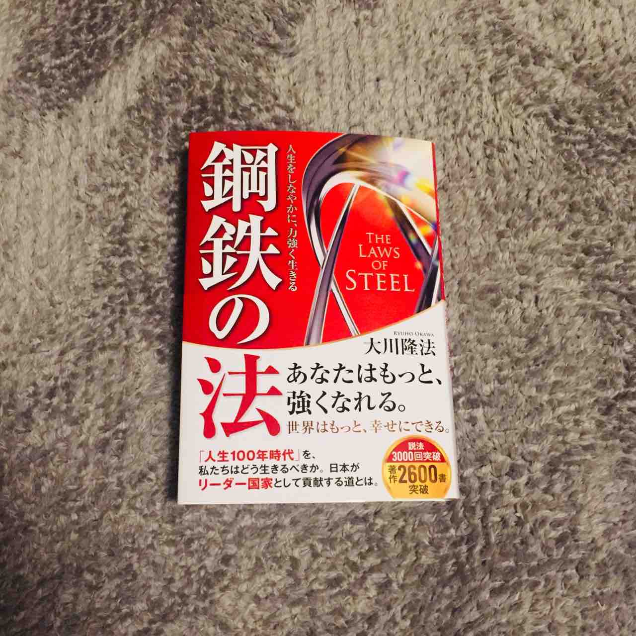 鋼鉄の法 発刊 第１章の感想 Next Cheer S Blog