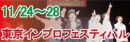 TIFbanner2010L