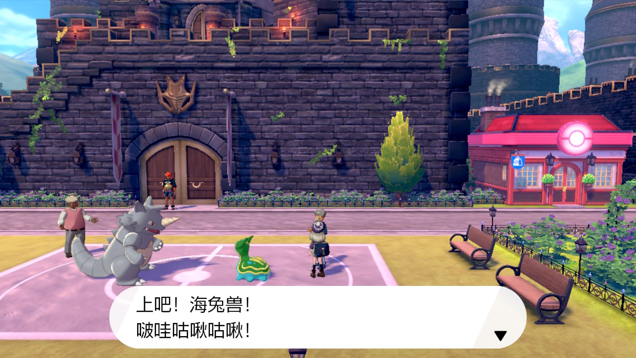 ポケモン剣盾プレイ日記 サブrom殿堂入り 色々 ネクストねばあ分校 Nextnever Branch School