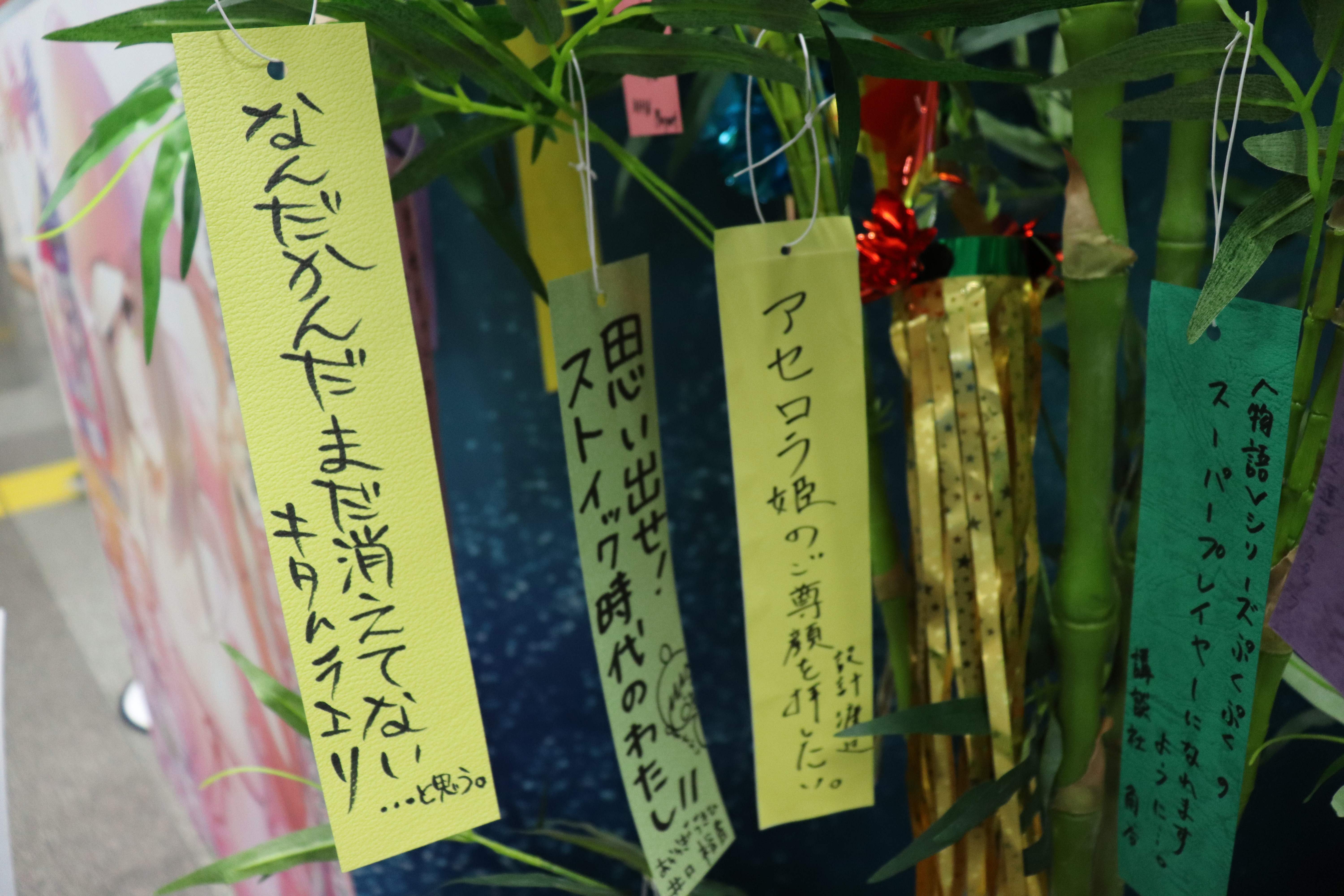 19年も開催ッ 秋葉原駅で物語シリーズの七夕の短冊を見てきたでござるッ ネクストねばあ分校 Nextnever Branch School