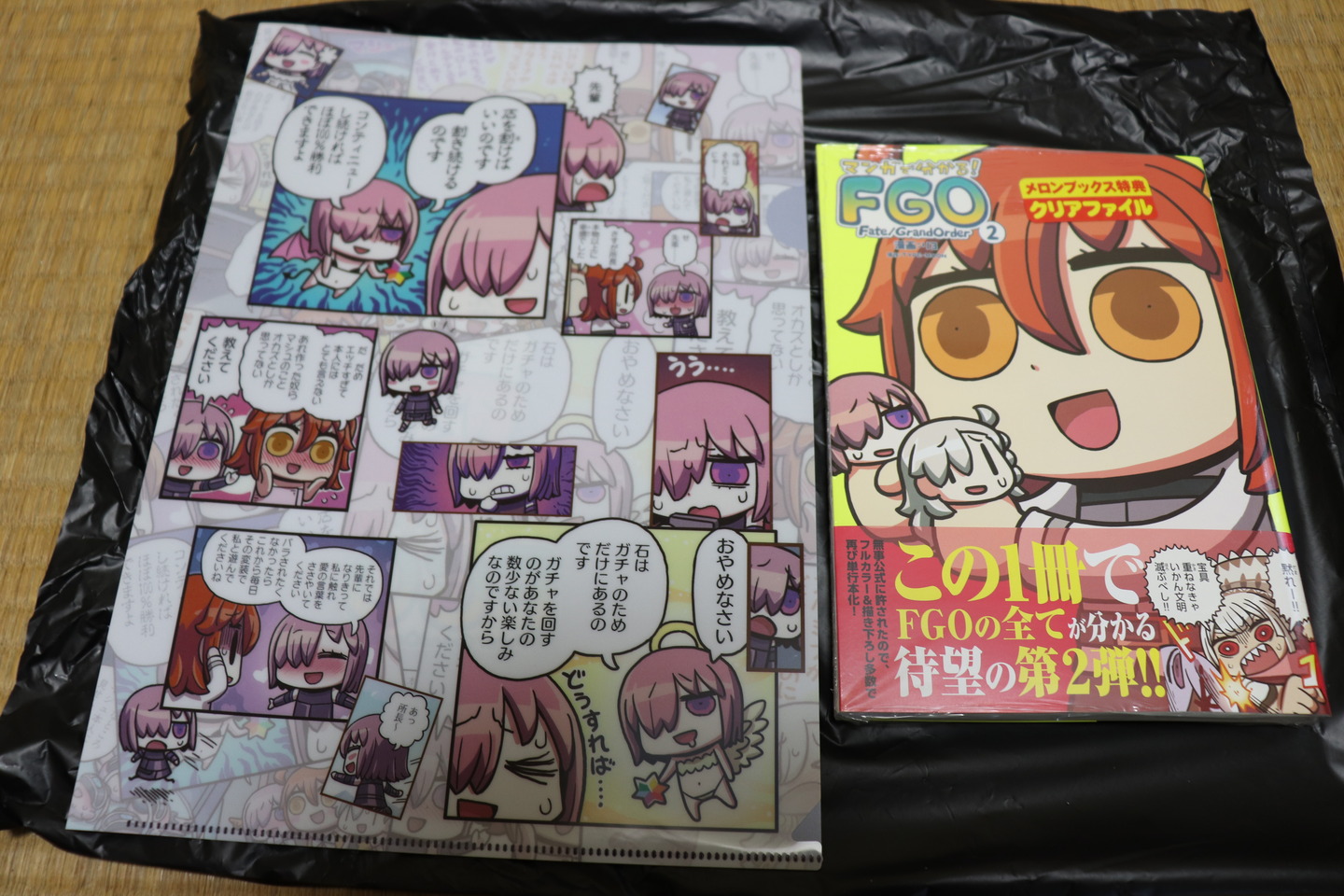 マンガで分かるマンガで分かるFGO第2巻メロンブックス特典