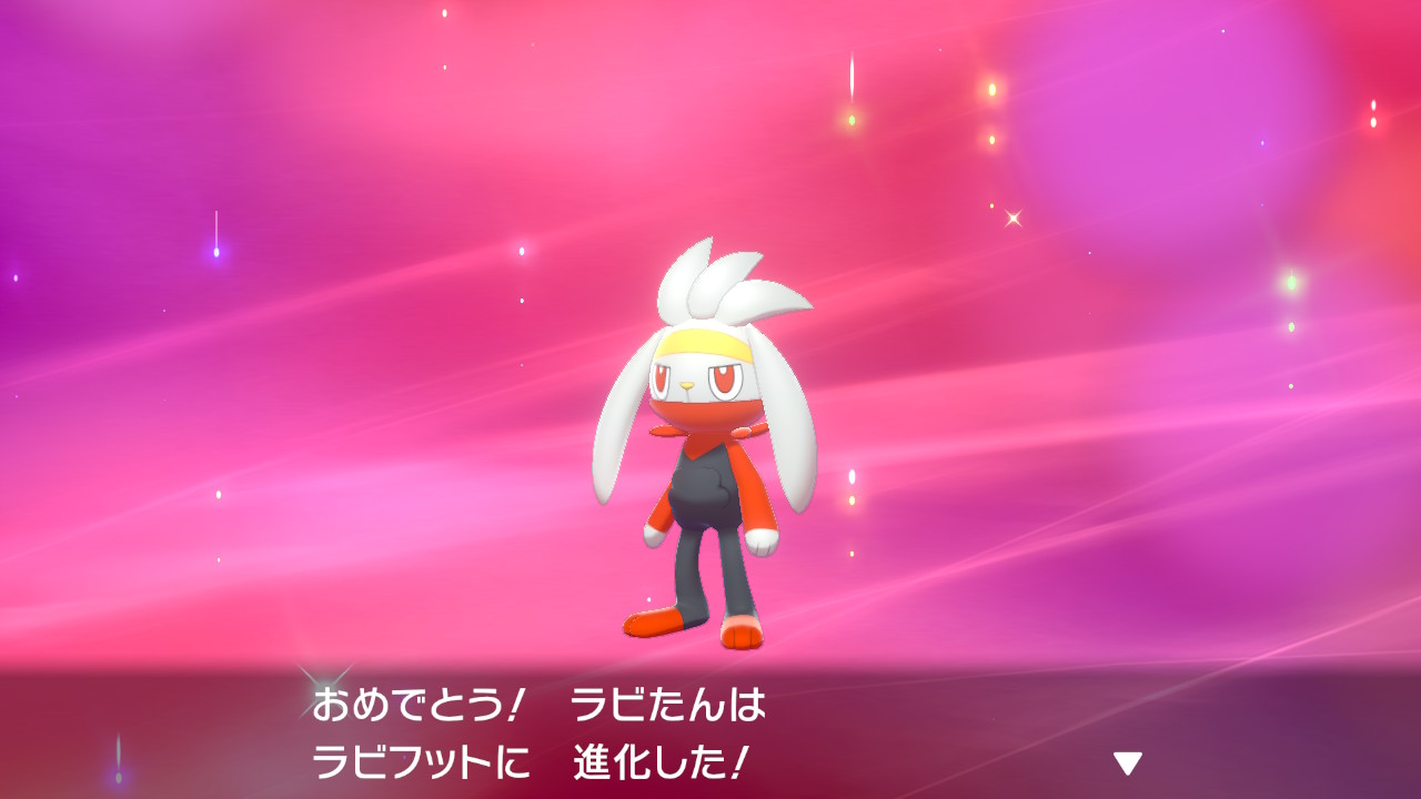 ポケットモンスターソード シールド 本日発売でござるッ ネクストねばあ分校 Nextnever Branch School ポケットモンスターソード シールド 本日発売でござるッ ネクストねばあ分校 Nextnever Branch School