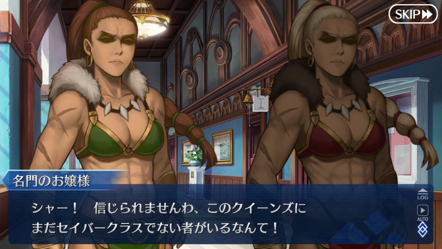 FGOセイバーウォーズ2 (53)