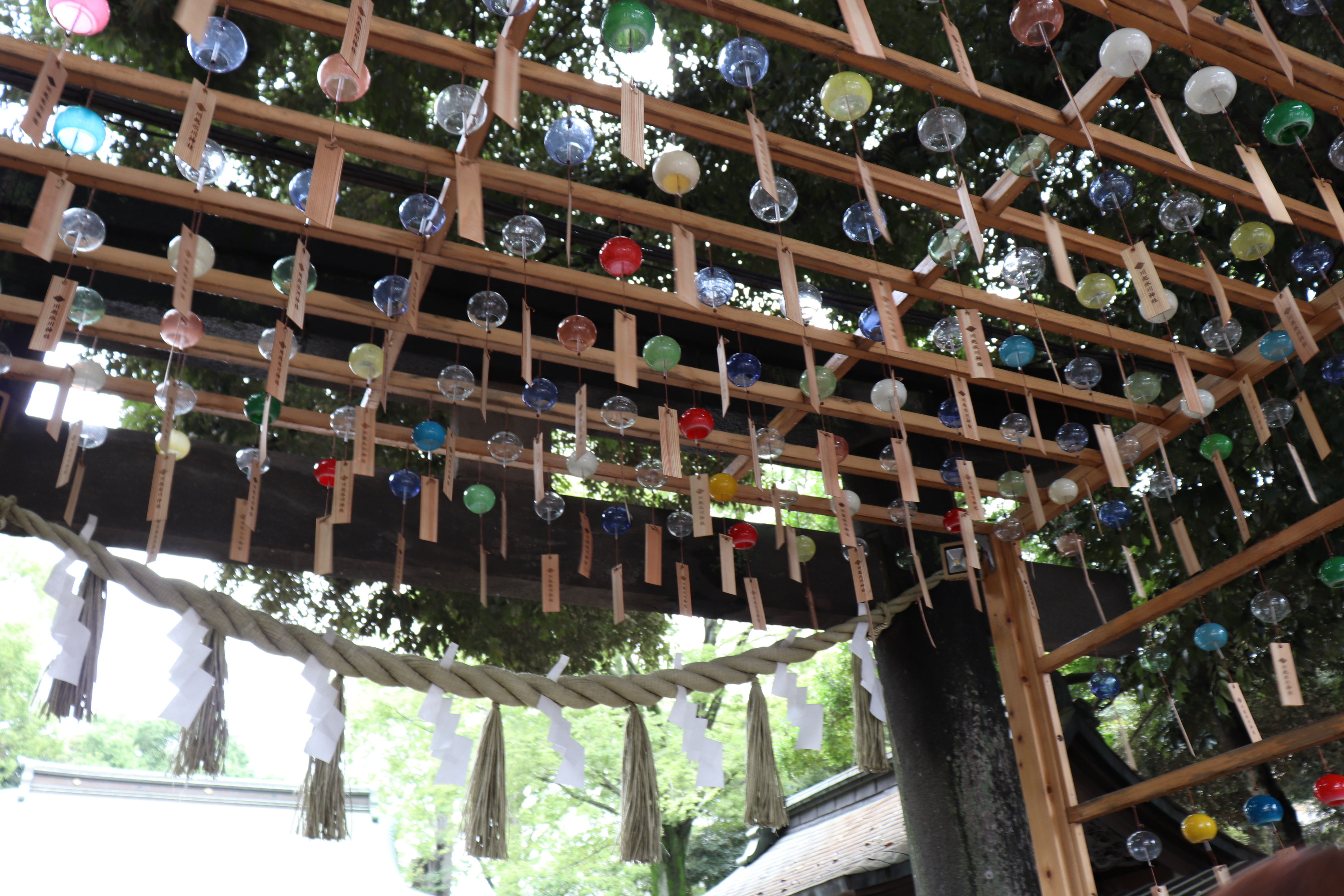 神聖ネクストねばあ帝国 the holy nextnever empire