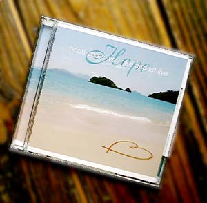 新品　Salyu bolero 12インチ レコード アナログ盤 完全受注生産盤 Salyu – TOY'S STORE