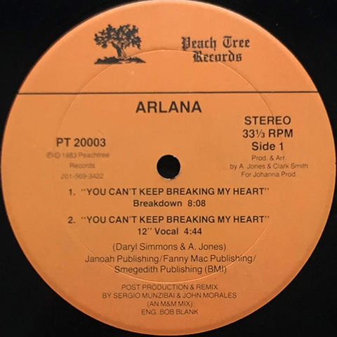 arlana_youcantkeep_rmx