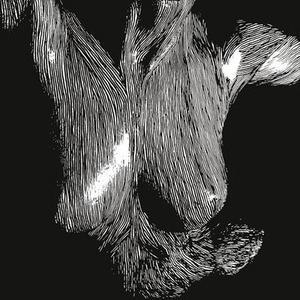 6d323155.jpg