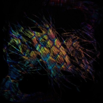 af2c08b7893bdb3f4b17195b3bb64b9c