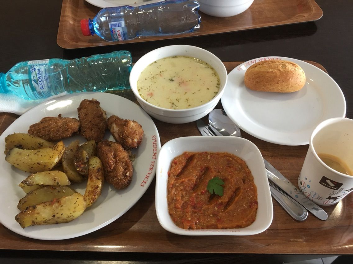 株 ディミトリエ カンテミール大学 どないでっか ルーマニア