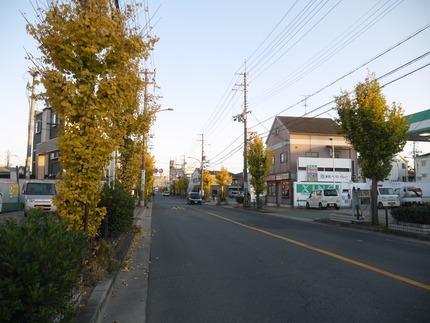 P3080298