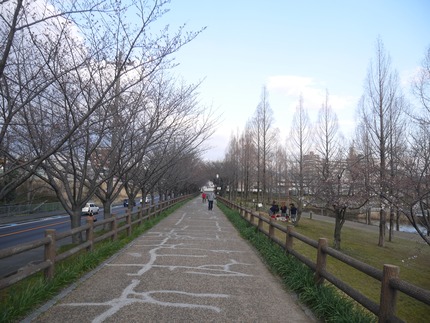 P3170777