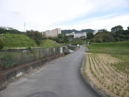 P3040336