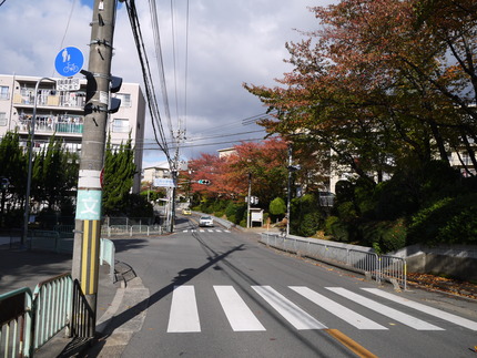 P1020445