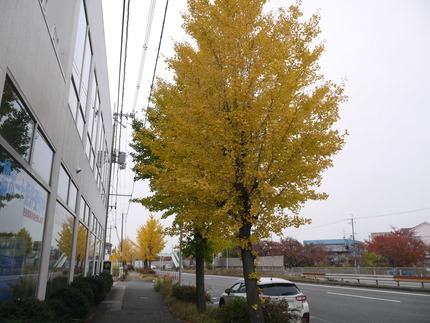 P3070529