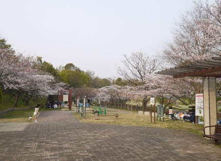P2880377