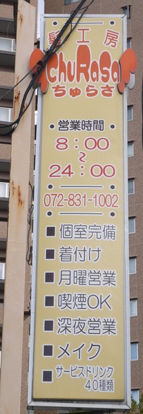 P3130426