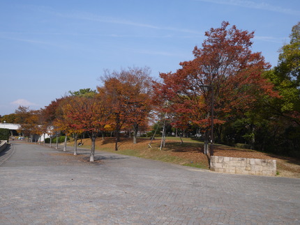 P1020853