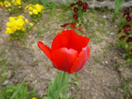 P2060897