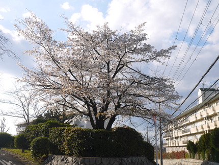 P3170745