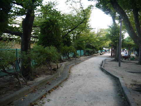 P1000308