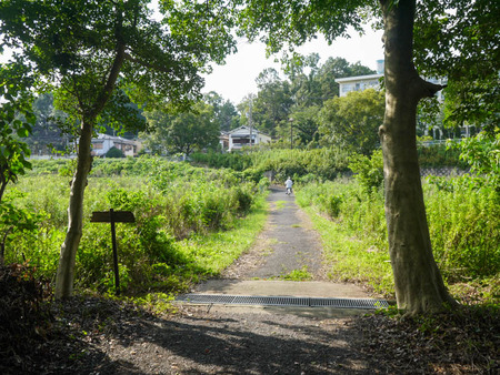 細屋神社 移転-6