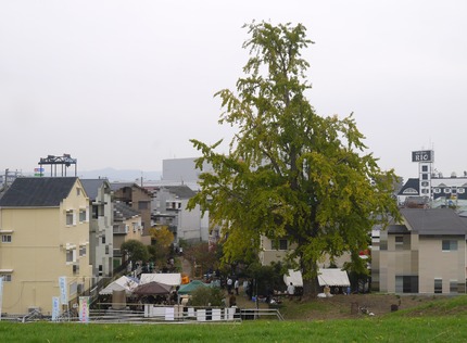 P3070708