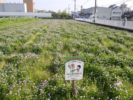P1650120