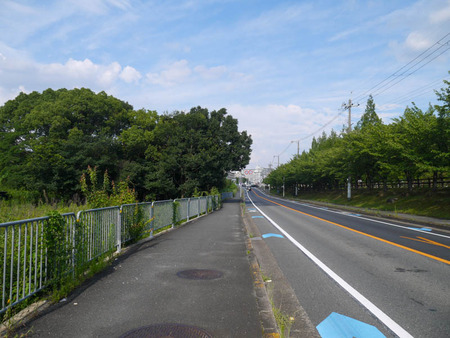 細屋神社 移転-1