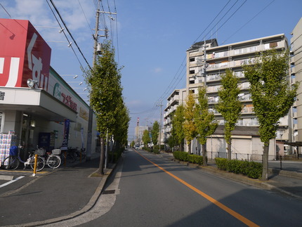 P1020616