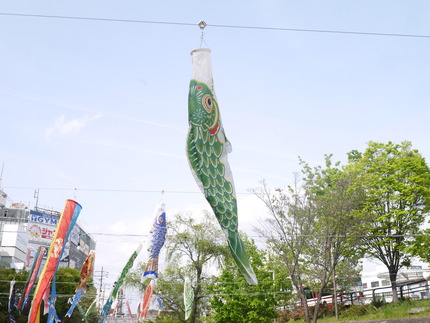 P2070299