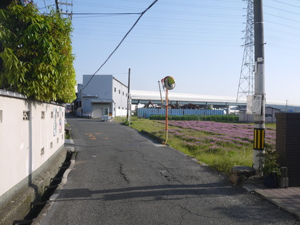 P2460449