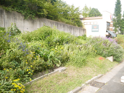 P1220691