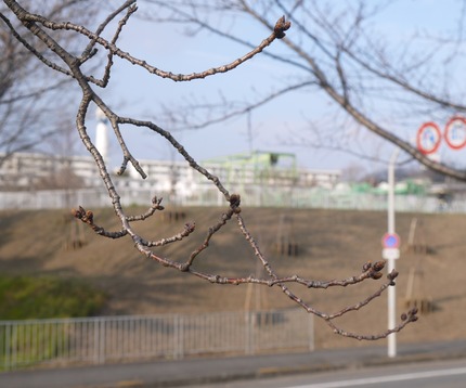 P2840090