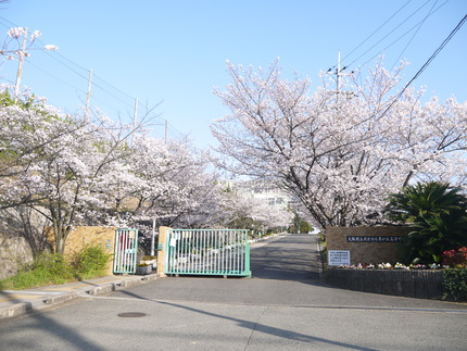 P1100069