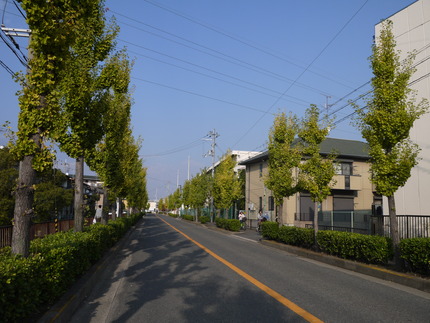 P1020619