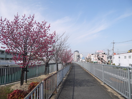P1360518