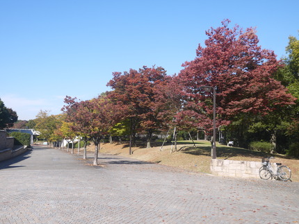 P1500872