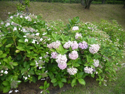 P2960680